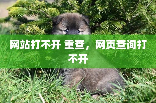 网站打不开 重查，网页查询打不开