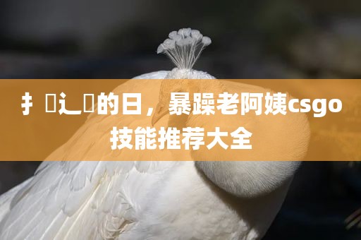 扌喿辶畐的日，暴躁老阿姨csgo技能推荐大全