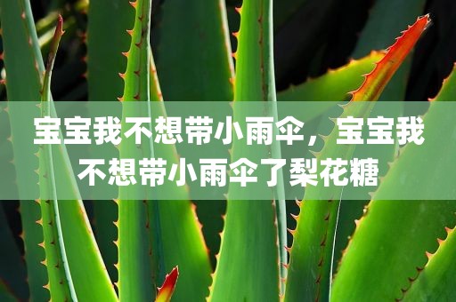 宝宝我不想带小雨伞，宝宝我不想带小雨伞了梨花糖