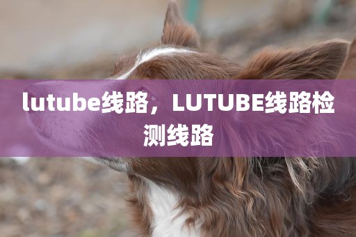 lutube线路，LUTUBE线路检测线路