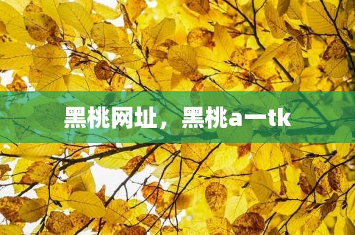 黑桃网址，黑桃a一tk
