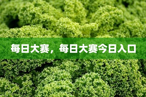 每日大赛，每日大赛今日入口