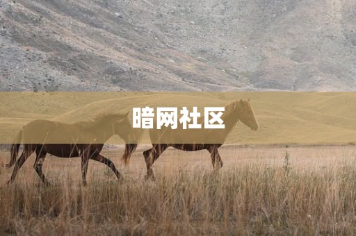 暗网社区