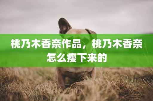 桃乃木香奈作品，桃乃木香奈怎么瘦下来的