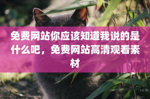 免费网站你应该知道我说的是什么吧，免费网站高清观看素材