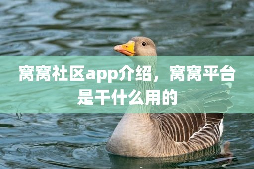 窝窝社区app介绍，窝窝平台是干什么用的
