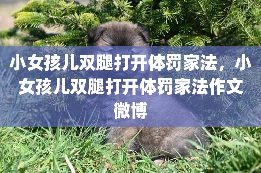 小女孩儿双腿打开体罚家法，小女孩儿双腿打开体罚家法作文微博