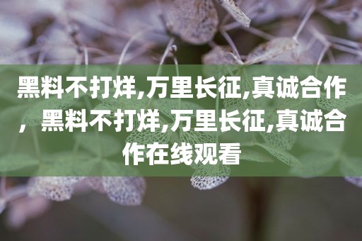 黑料不打烊,万里长征,真诚合作，黑料不打烊,万里长征,真诚合作在线观看