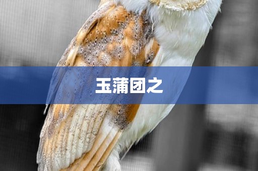 玉蒲团之