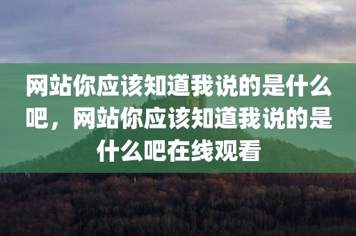 网站你应该知道我说的是什么吧，网站你应该知道我说的是什么吧在线观看