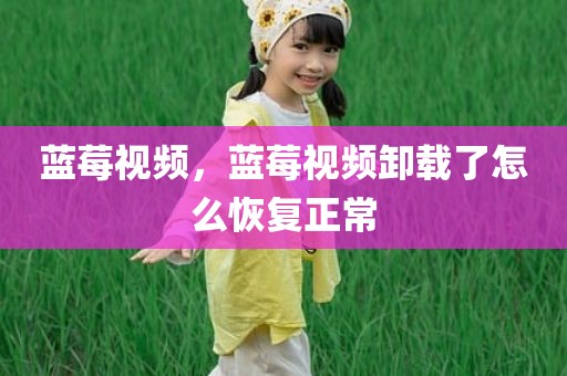 蓝莓视频，蓝莓视频卸载了怎么恢复正常