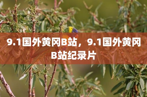 9.1国外黄冈B站，9.1国外黄冈B站纪录片