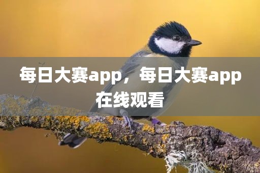 每日大赛app，每日大赛app在线观看