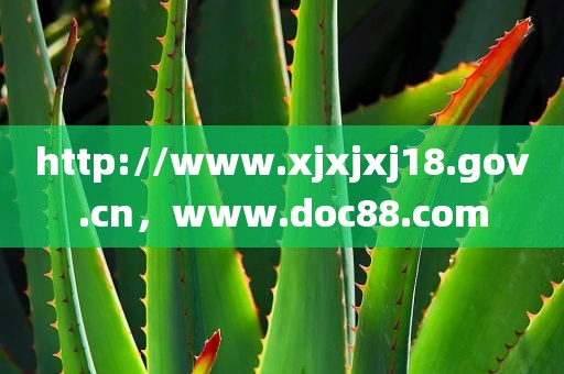 http://www.xjxjxj18.gov.cn，www.doc88.com