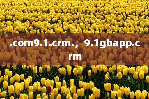 .com9.1.crm.，9.1gbapp.crm