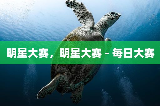 明星大赛，明星大赛 - 每日大赛
