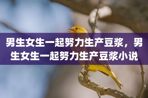 男生女生一起努力生产豆浆，男生女生一起努力生产豆浆小说