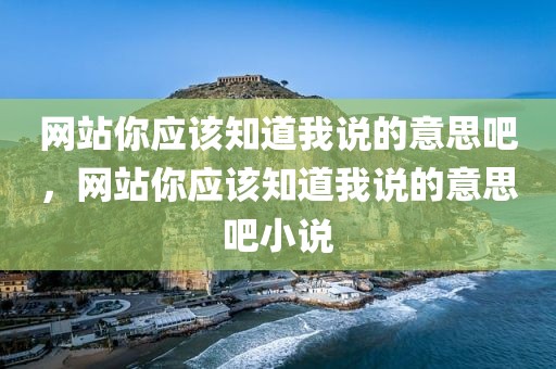 网站你应该知道我说的意思吧，网站你应该知道我说的意思吧小说