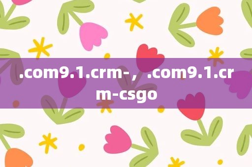 .com9.1.crm-，.com9.1.crm-csgo