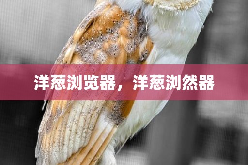 洋葱浏览器，洋葱浏然器