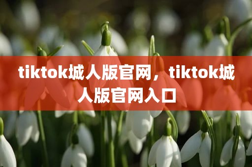 tiktok城人版官网，tiktok城人版官网入口