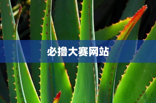 必撸大赛网站