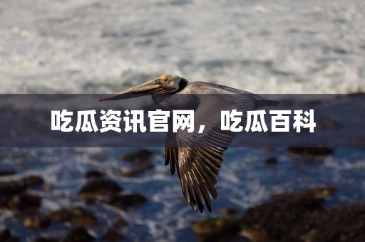 吃瓜资讯官网，吃瓜百科