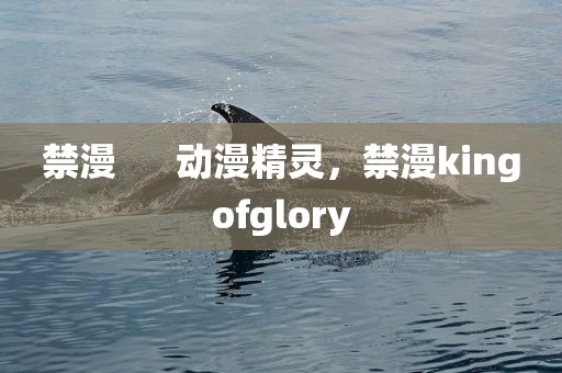禁漫      动漫精灵，禁漫kingofglory