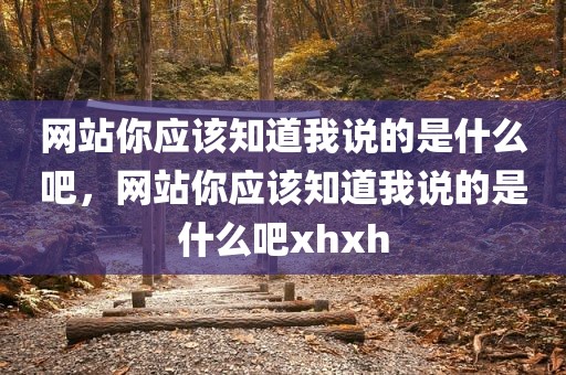 网站你应该知道我说的是什么吧，网站你应该知道我说的是什么吧xhxh