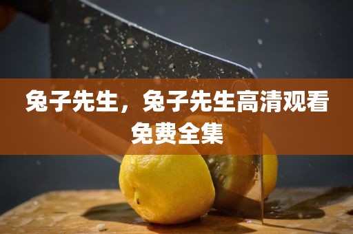 兔子先生，兔子先生高清观看免费全集