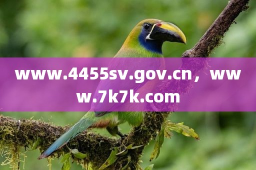 www.4455sv.gov.cn，www.7k7k.com