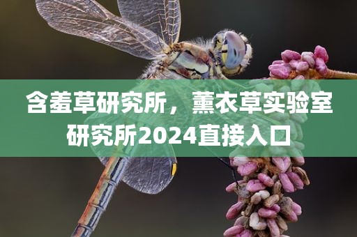 含羞草研究所，薰衣草实验室研究所2024直接入口