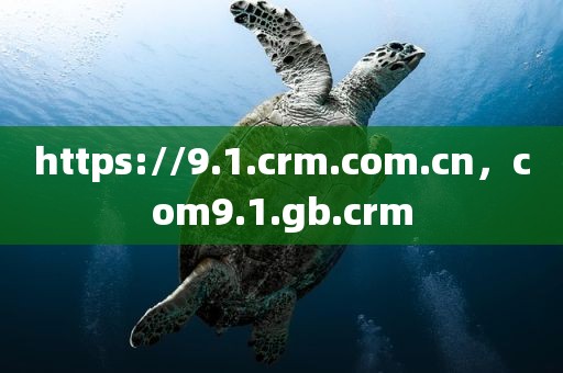 https://9.1.crm.com.cn，com9.1.gb.crm