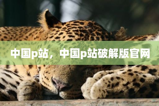 中国p站，中国p站破解版官网