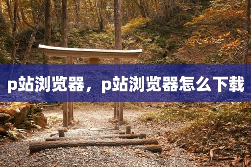 p站浏览器，p站浏览器怎么下载