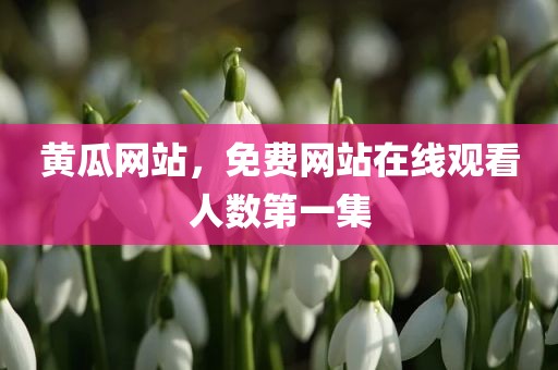 黄瓜网站，免费网站在线观看人数第一集