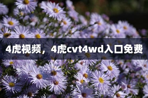 4虎视频，4虎cvt4wd入口免费