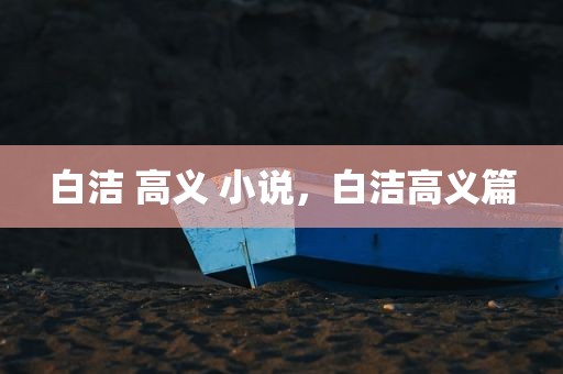 白洁 高义 小说，白洁高义篇