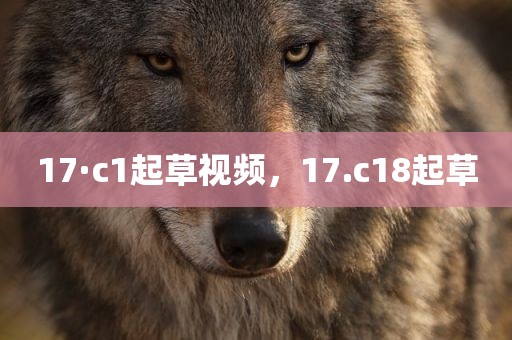 17·c1起草视频，17.c18起草