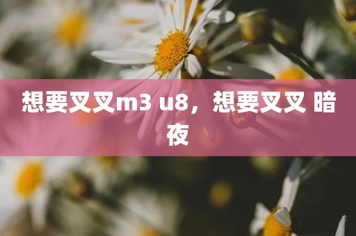 想要叉叉m3 u8，想要叉叉 暗夜
