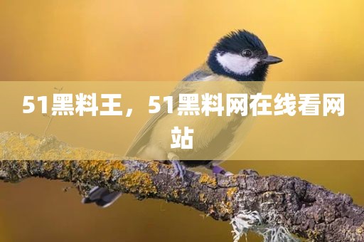 51黑料王，51黑料网在线看网站