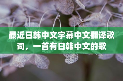 最近日韩中文字幕中文翻译歌词，一首有日韩中文的歌