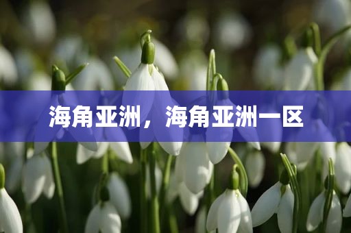 海角亚洲，海角亚洲一区