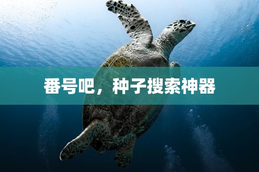 番号吧，种子搜索神器