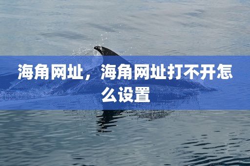 海角网址，海角网址打不开怎么设置