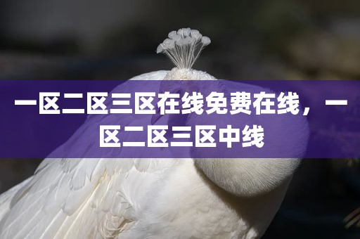 一区二区三区在线免费在线，一区二区三区中线