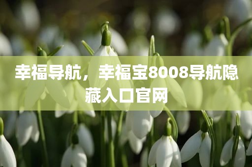幸福导航，幸福宝8008导航隐藏入口官网