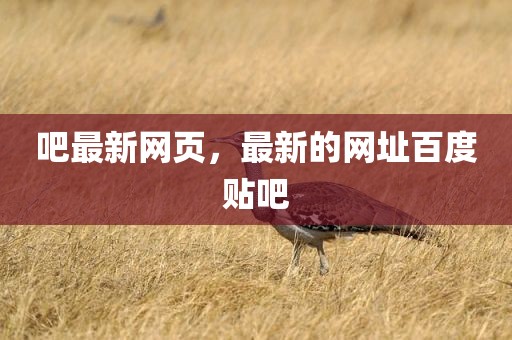 吧最新网页，最新的网址百度贴吧