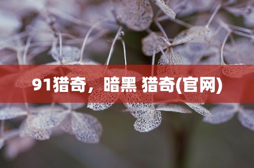 91猎奇，暗黑 猎奇(官网)