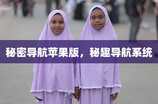 秘密导航苹果版，秘趣导航系统